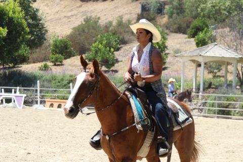 Sue-Lynn Ansari' riding horse
